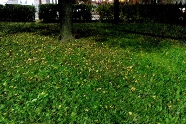 Свежие ссылки кракен